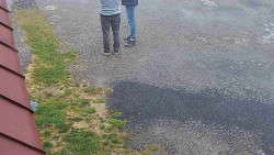 Nástup na běžecké tratě