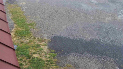 Nástup na běžecké tratě