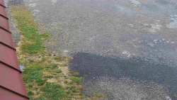 Nástup na běžecké tratě