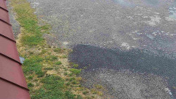 Nástup na běžecké tratě