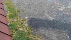 Nástup na běžecké tratě