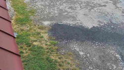 Nástup na běžecké tratě