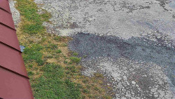 Nástup na běžecké tratě