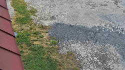 Nástup na běžecké tratě