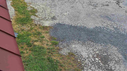 Nástup na běžecké tratě