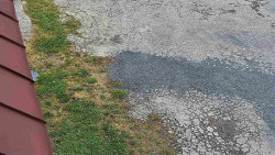 Nástup na běžecké tratě