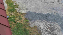 Nástup na běžecké tratě