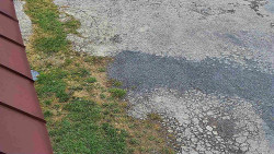 Nástup na běžecké tratě