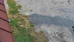 Nástup na běžecké tratě