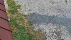 Nástup na běžecké tratě