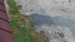 Nástup na běžecké tratě