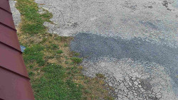 Nástup na běžecké tratě