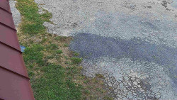 Nástup na běžecké tratě