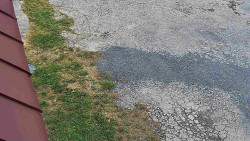 Nástup na běžecké tratě