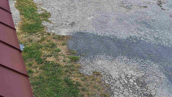 Nástup na běžecké tratě