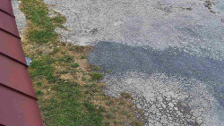 Nástup na běžecké tratě