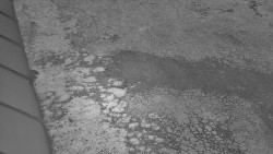 Nástup na běžecké tratě