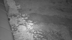 Nástup na běžecké tratě