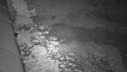 Nástup na běžecké tratě