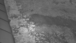 Nástup na běžecké tratě