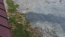 Nástup na běžecké tratě