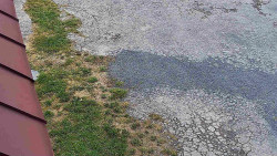 Nástup na běžecké tratě