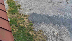 Nástup na běžecké tratě