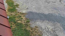 Nástup na běžecké tratě