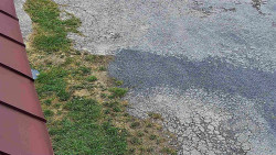 Nástup na běžecké tratě