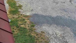 Nástup na běžecké tratě