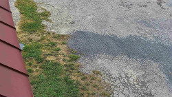 Nástup na běžecké tratě