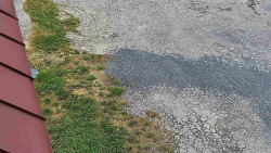 Nástup na běžecké tratě