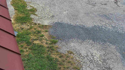 Nástup na běžecké tratě