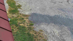 Nástup na běžecké tratě