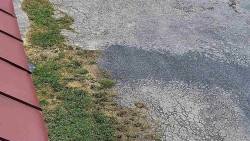 Nástup na běžecké tratě