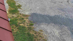 Nástup na běžecké tratě