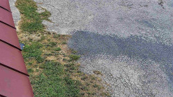 Nástup na běžecké tratě