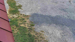 Nástup na běžecké tratě