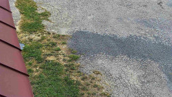 Nástup na běžecké tratě