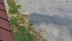 Nástup na běžecké tratě