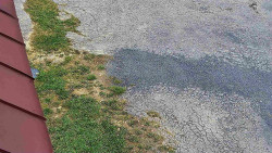 Nástup na běžecké tratě