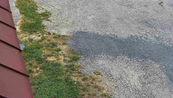 Nástup na běžecké tratě