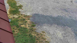 Nástup na běžecké tratě