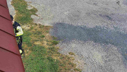 Nástup na běžecké tratě