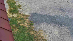 Nástup na běžecké tratě