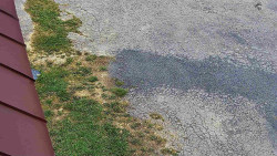 Nástup na běžecké tratě