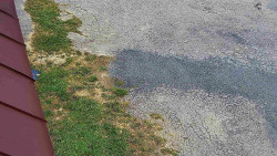 Nástup na běžecké tratě