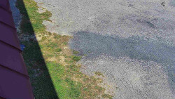 Nástup na běžecké tratě