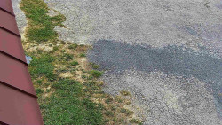 Nástup na běžecké tratě