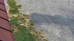 Nástup na běžecké tratě